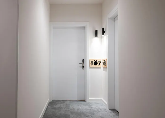 Soemn Donostia 圣塞瓦斯蒂安